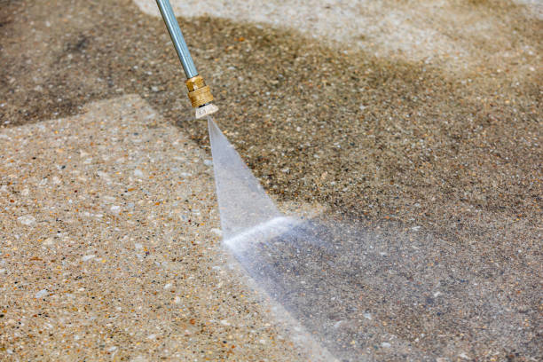 Best Animal Enclosure Cleaning  in Rock Hill, NY